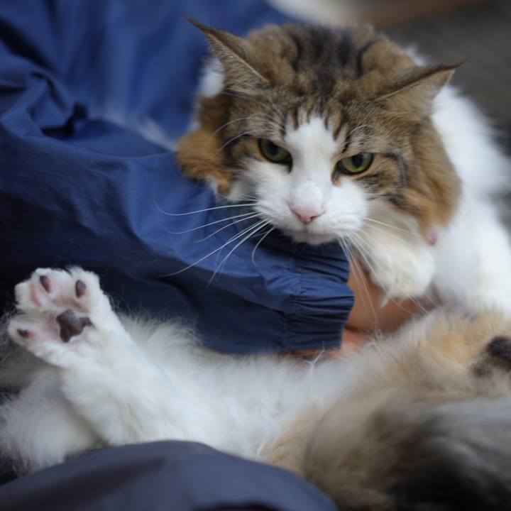 C8365a9b a692 415b 869d 4c0cd80787e7 1702174819298