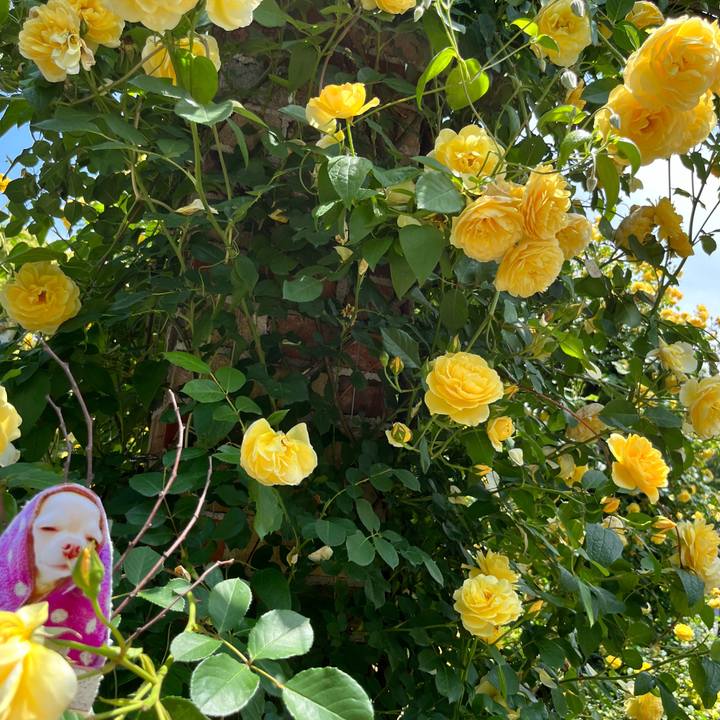 C83684f8 9c6d 44ef a877 11581b1c4239 1653188353068