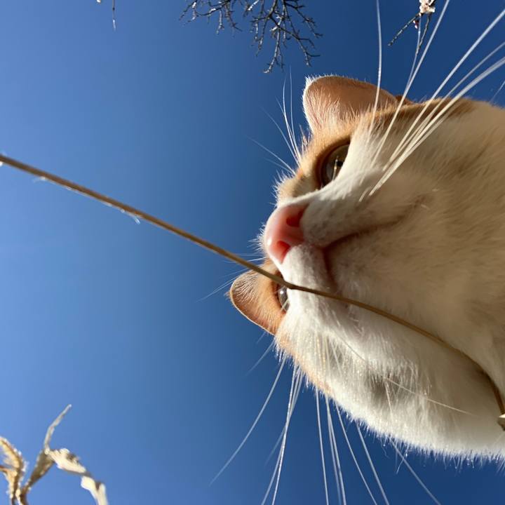 C836972a 8cce 42d3 9c84 ec46a3e25b2f 1584229471797