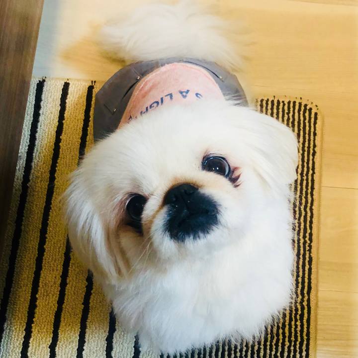 C8369aca 6ac2 4a74 a9be ad832ce00190 1552569511290