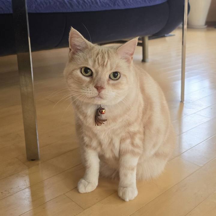 C8369d9d 3231 460c b799 b9c5cc9be4f9 1729813278361