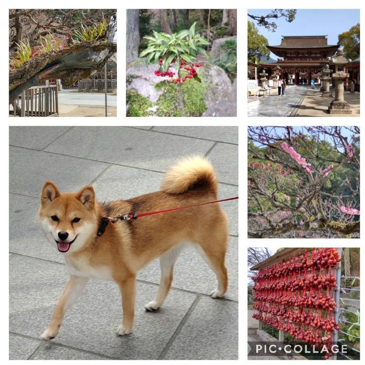 C836a8ab e017 45bd 83d6 82136b6aefe5 1648259427663