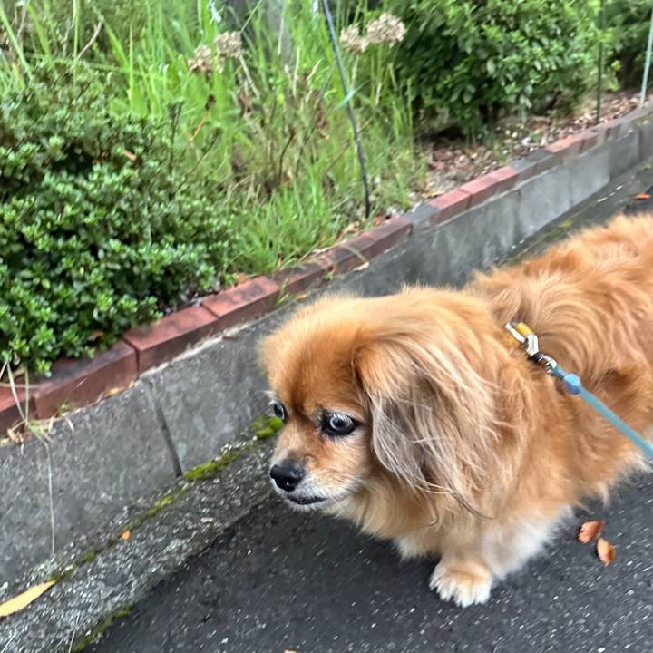 C836e1b0 1ff7 4827 8586 621ec079dabf 1759098243406