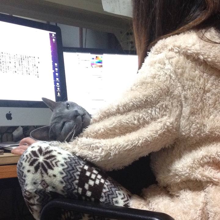 C836ecb8 136e 47f6 bb22 a47a3367d9b5 1530229657291