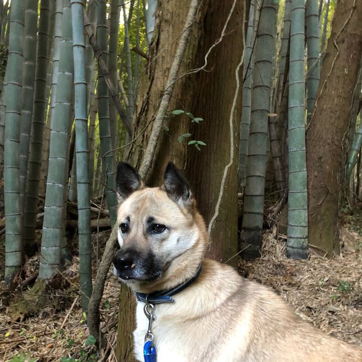 C836fd25 5798 425a b439 b42dcd44f510 1546160540186