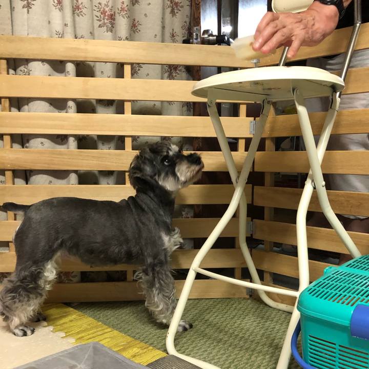 C8372940 1392 419b 90ad 55a89a17212b 1632138939312