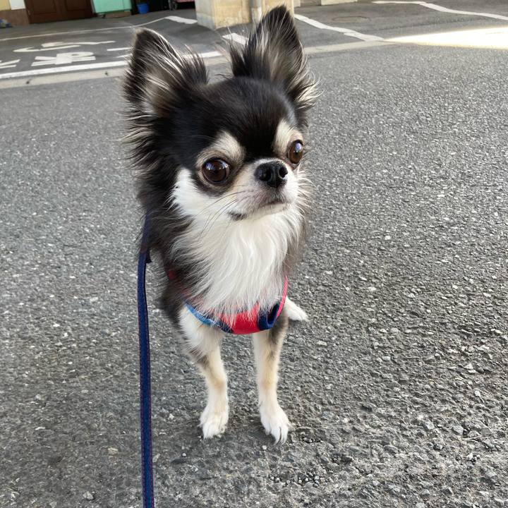 C8372fd8 ef28 444e 8f6b 7bcb506d2555 1696694119922