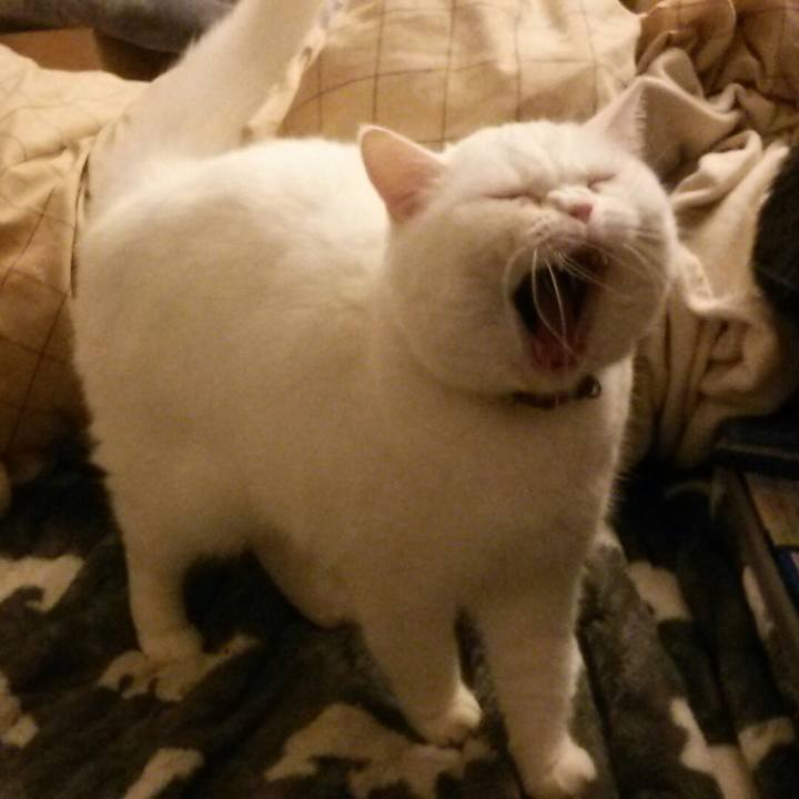 C837340d 2b19 475a 87a8 c1798f6f1c48 1518994101057