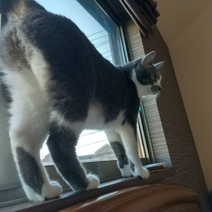 C8375c9e c2b4 4aa4 a7d0 74fe6f47d004 1634683528304