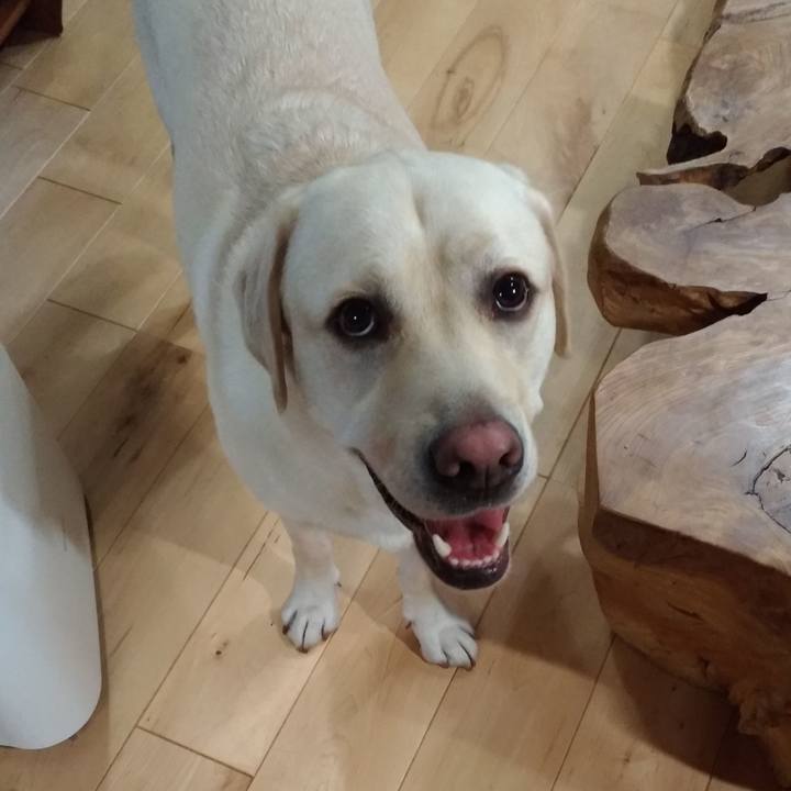 C83770b8 75a2 407b a773 b94f72f86f7a 1538160555936