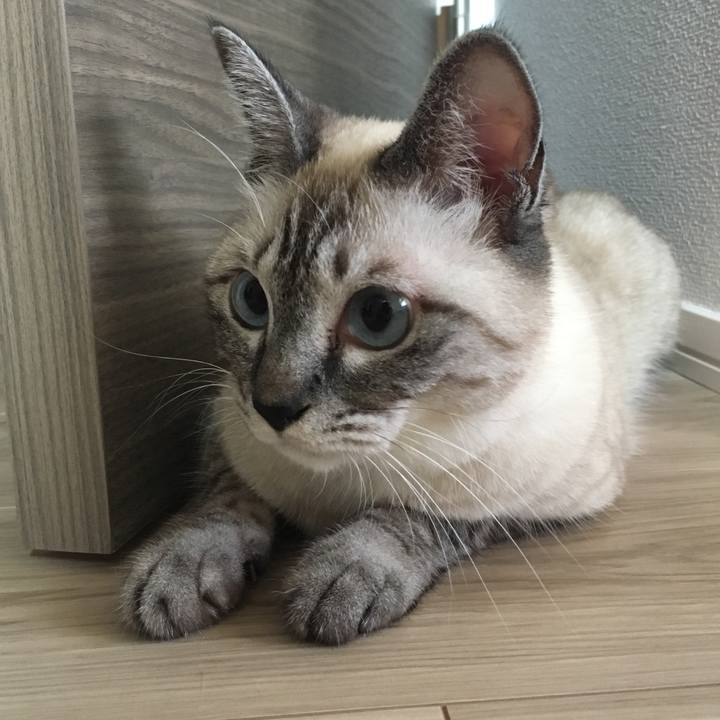 C8378260 bebf 4222 83cb faf11491051a 1565746231925