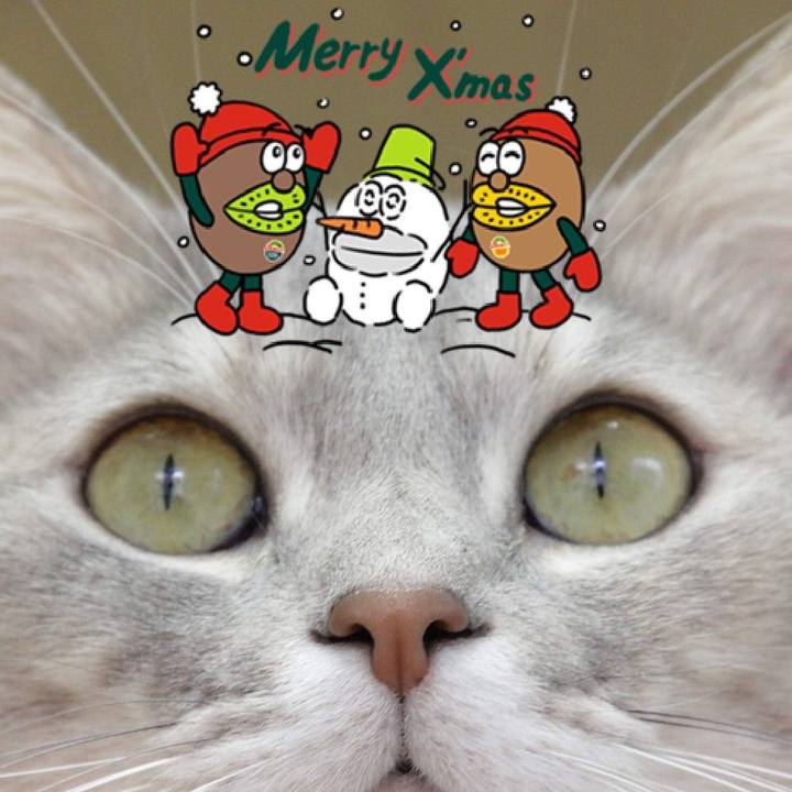 C83789b7 3e8a 4310 886e 461fbbc37f5c 1577182129840