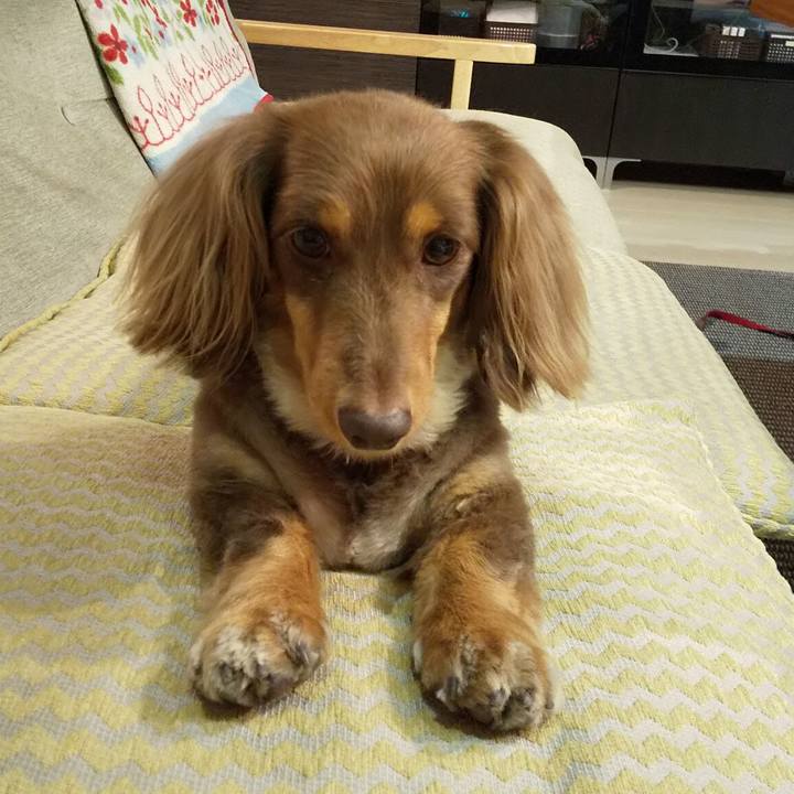 C8379ec7 f66a 415f 8281 ae92f1c00626 1560859666789