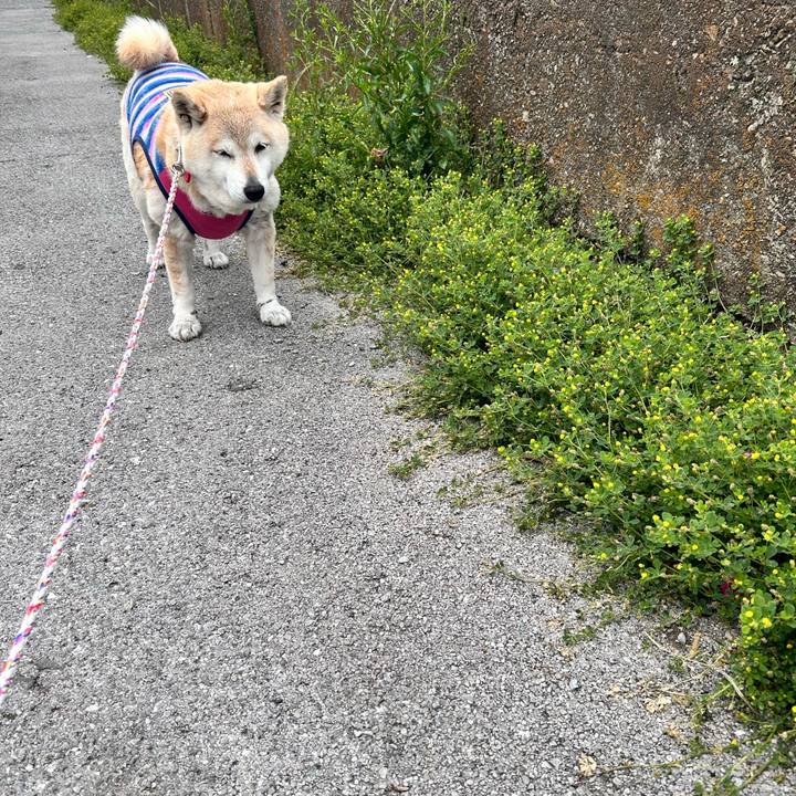 C837b2da ae54 4a72 b484 0cf01562da92 1746759574831