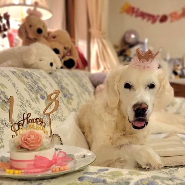 C837d5a2 25ec 4517 ab0d d6051350ab2c 1758608342766