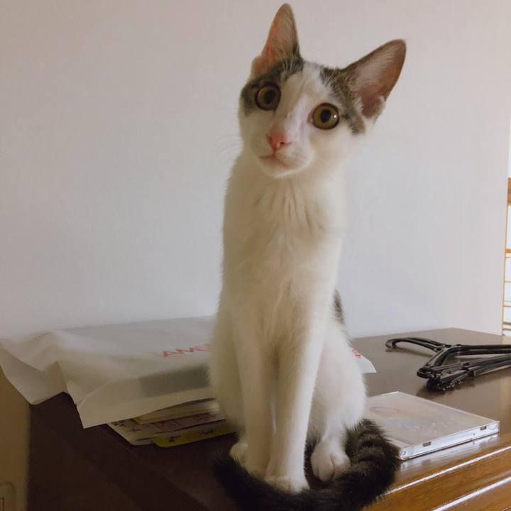 C837de94 8d5f 4038 8f30 b85feae3fe8f 1569929544951