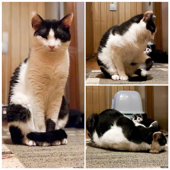 C837fb33 967b 4a99 9a03 e2062fac5064 1531925152631