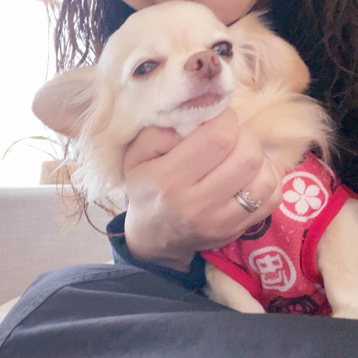 C8383de4 2a45 45b9 929d 9d2f5f5884bc 1743033318195