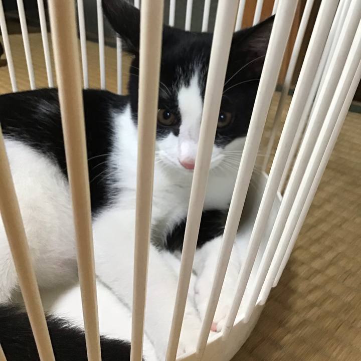 C8386b72 68ee 4bd7 ac40 78c7f101f58b 1628071449107