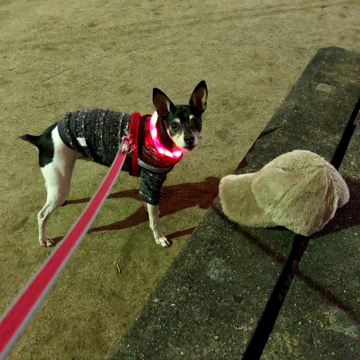 C838bb70 1775 4022 b156 90a61fa0c8b3 1550744186703