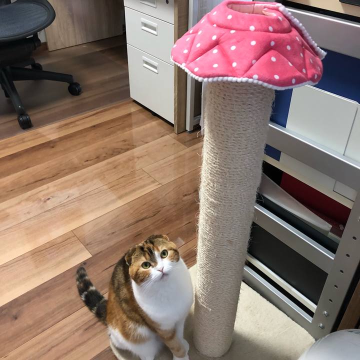 C8390a06 ebb4 4362 b4d1 66430cf95961 1552613801850