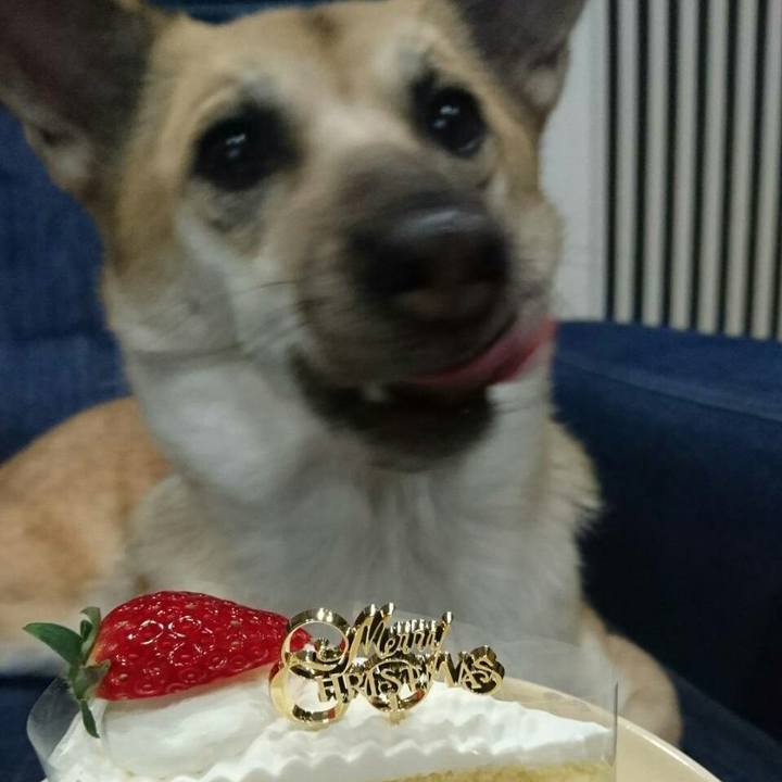 C8398b2a d470 45ec 8b3f 5a122f3ffeb5 1514210776868