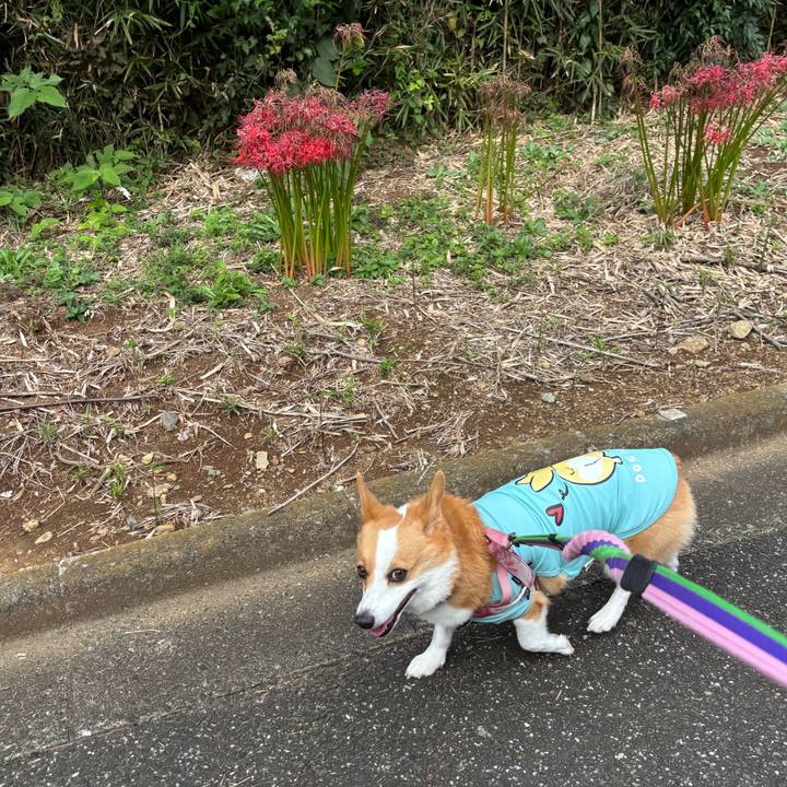 C839d0bf 5daf 4915 a598 70489a9f49f3 1759541209604