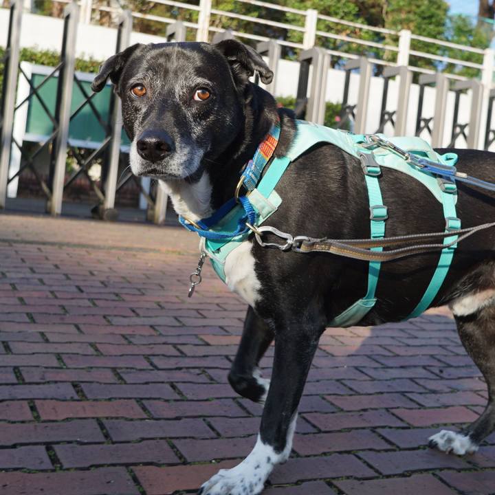 C839d84f 7083 477e 8d74 14f16008bc47 1772867133522