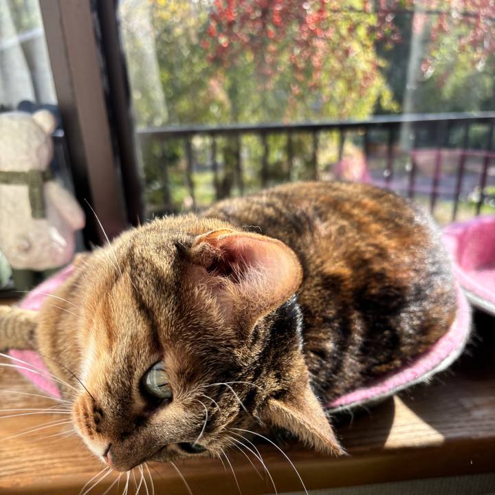 C839e638 f159 4931 8caa bddc730dae40 1761696420954