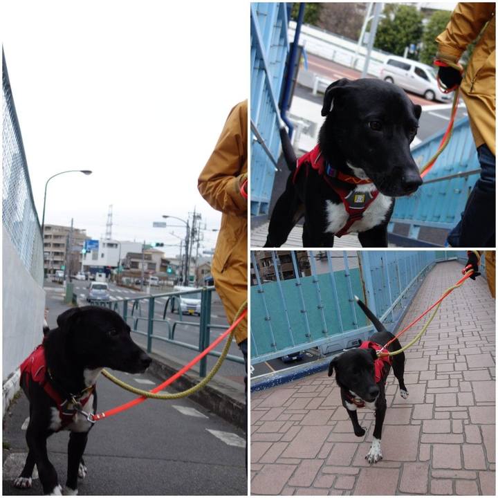 C83a0327 1262 452a a609 3792c80cc175 1583543881505