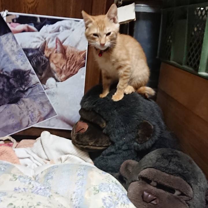 C83a18ef 272d 47b2 a590 9e585eb0da6c 1631708499652