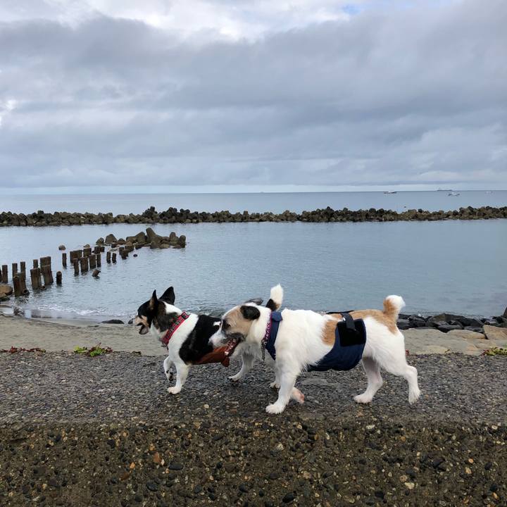 C83a20f2 40a3 43a9 ba13 c5b156604ea6 1535500651084