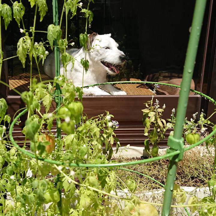 C83a32c5 e3f2 441e bd7b 47c66544964a 1535586572536