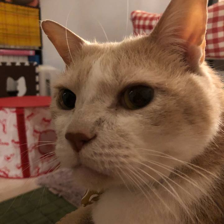 C83a3aba e2d7 4a57 858b 02dc3a5c81af 1580729938412