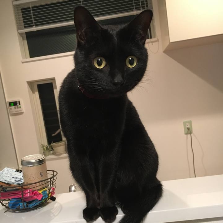 C83a3c9f 1739 4427 a671 febba0fd098f 1512388943908