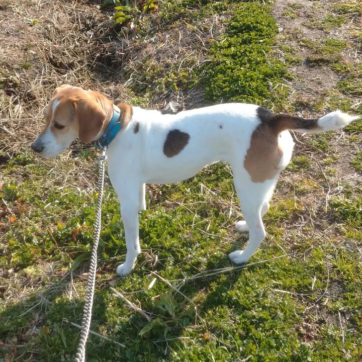 C83a6b9c 8937 4a1f bd89 14bc198139de 1612417162486