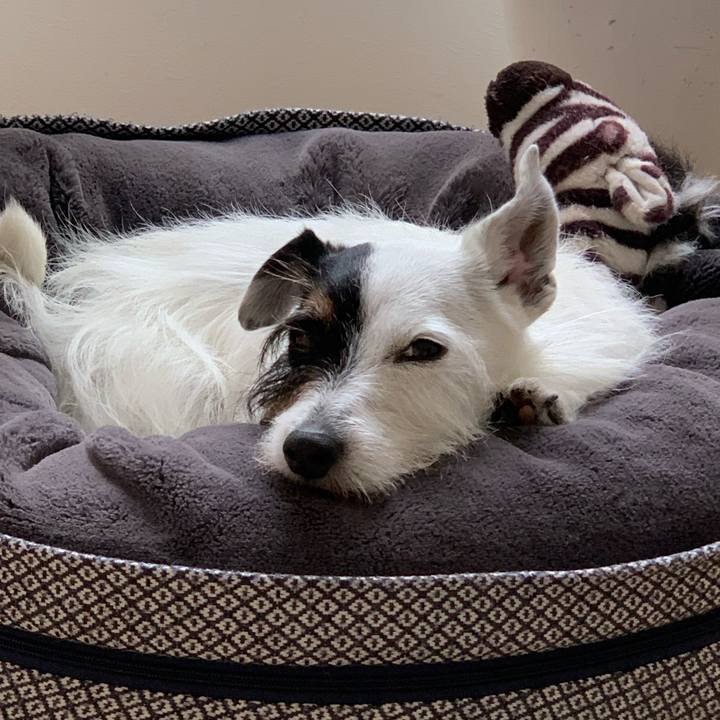 C83a7fbd fea5 4e56 8a0c 0908b785b845 1686211044031