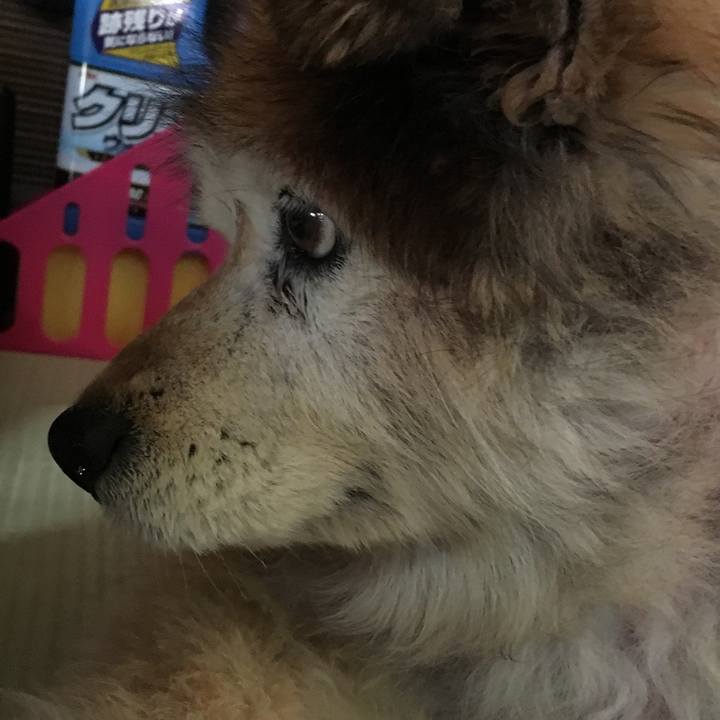 C83aa52e 9977 4544 8774 d7af21c6a4ac 1597834750851