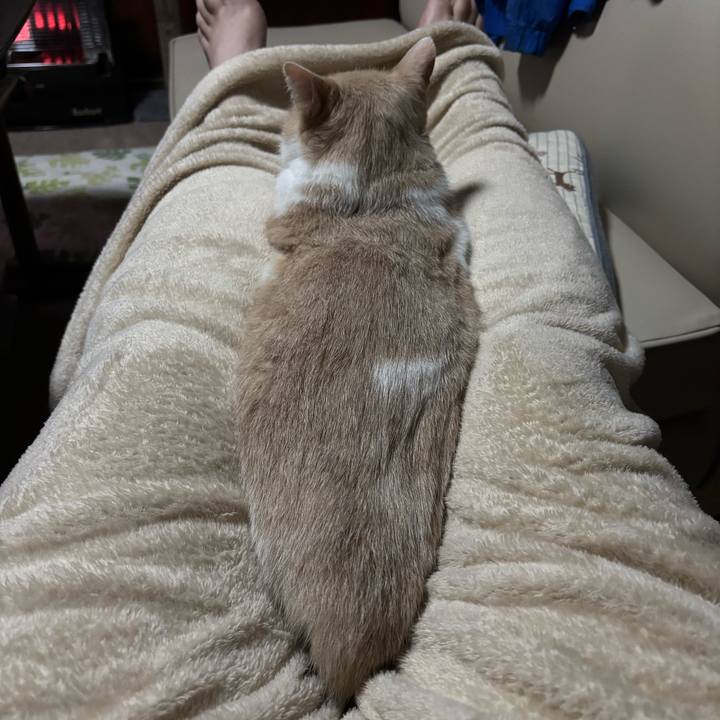 C83aa71d d5e9 41a1 9433 cb05a805936d 1762004243983