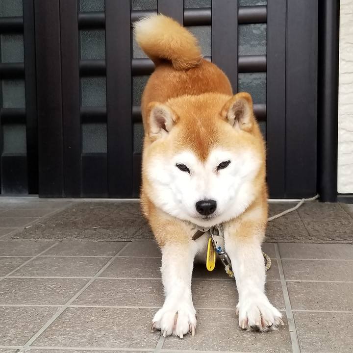 C83ab981 7f5f 4923 9efd ea802b88bcb1 1603325497989