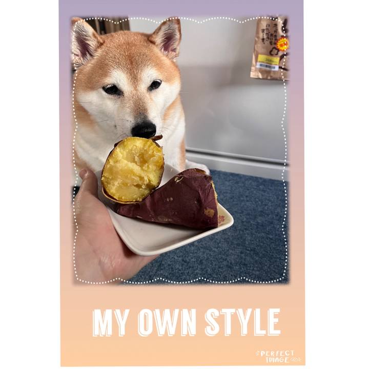 C83ac6fa effd 4075 a403 3c3eb5471bad 1701061107595