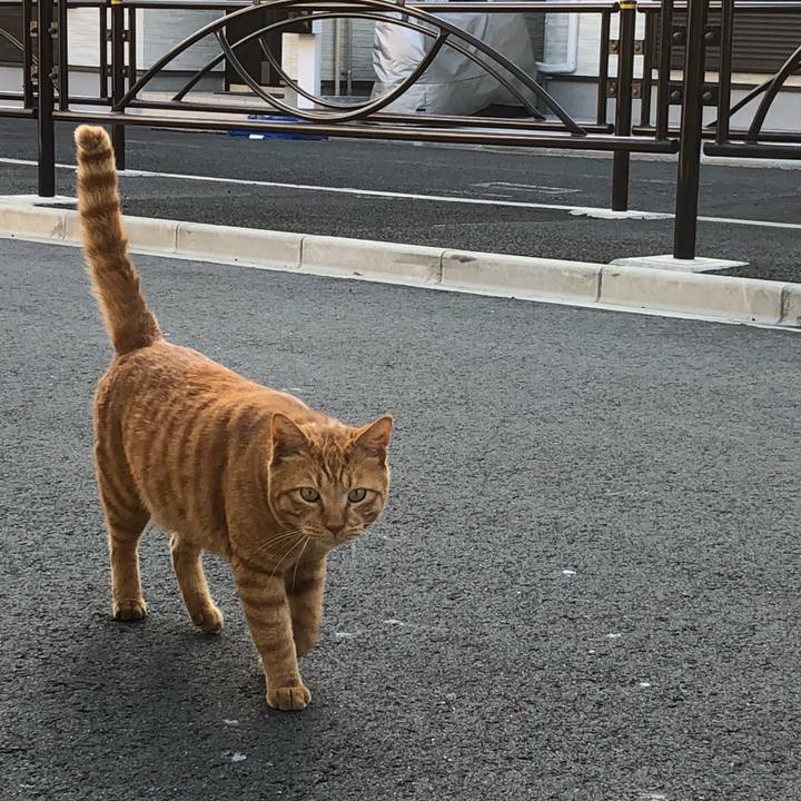 C83b1608 94c2 4bdd b2d3 9b4ae87277a1 1521103569734