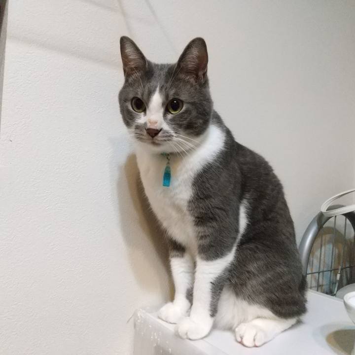 C83b1839 8e5e 4df3 a847 88a999487f3b 1634986375804