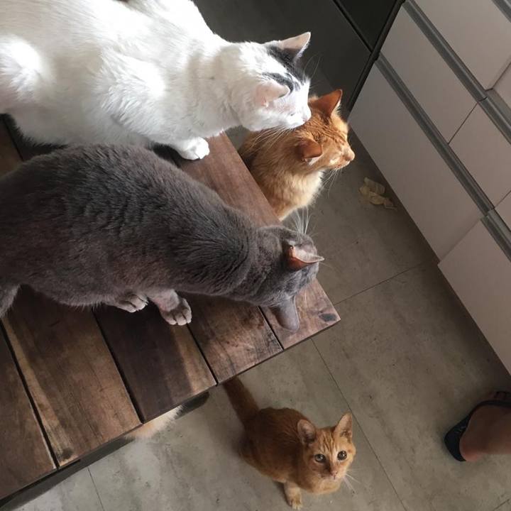 C83b185b 0380 473f 8d04 e5392631be9a 1543851799354