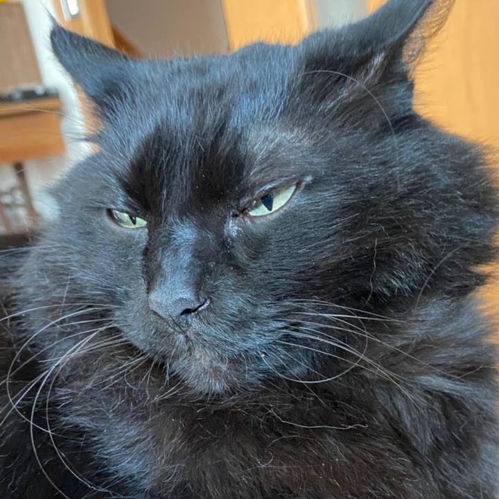 C83b333a 59ed 431c 8d75 65e346614fdc 1607316267879