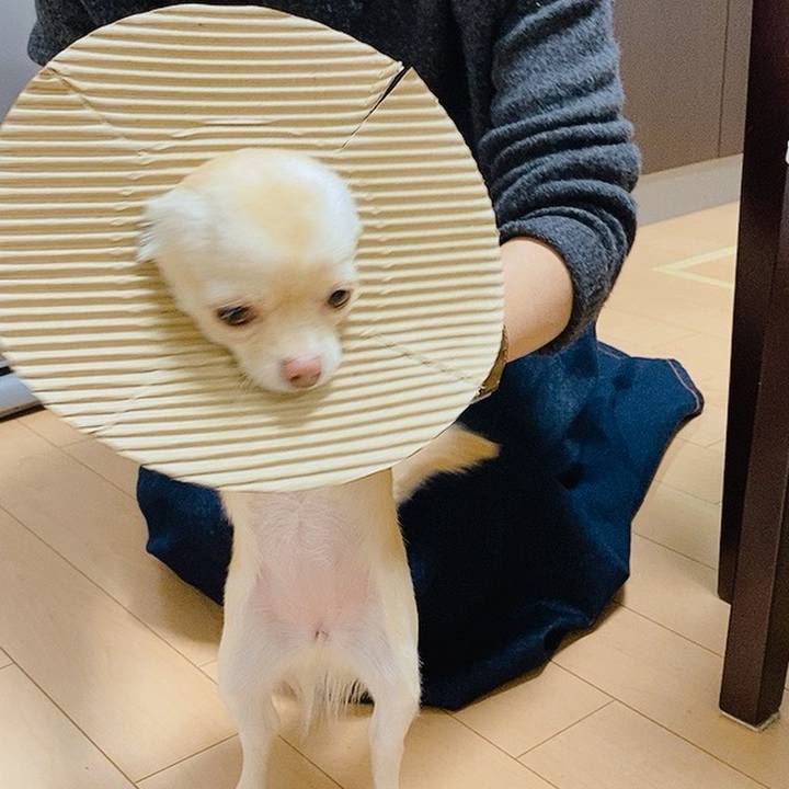 C83b3946 2491 48ee b77f d32fc65ddafa 1609125035430