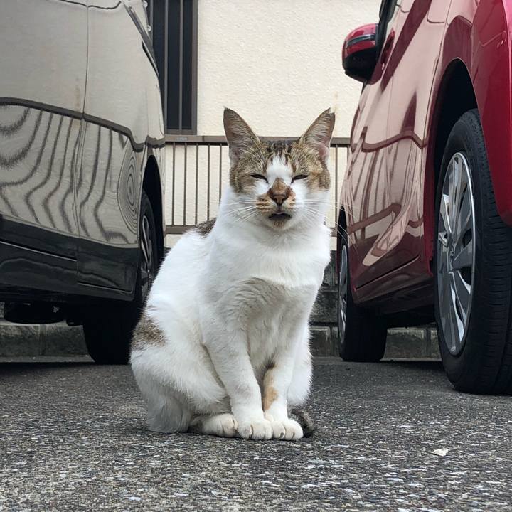 C83b3e4d 0d12 4f8e 8ec8 b282d4704121 1538570446963