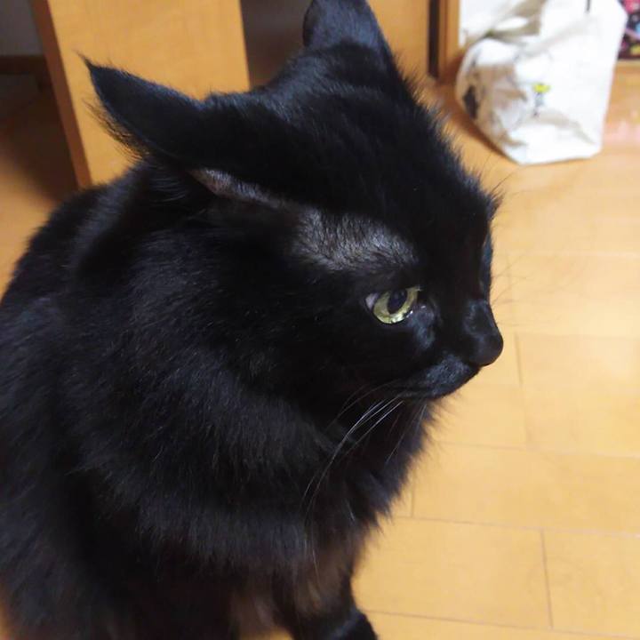 C83b6e37 9ec7 408b 9760 a0e2278d7461 1512549387070