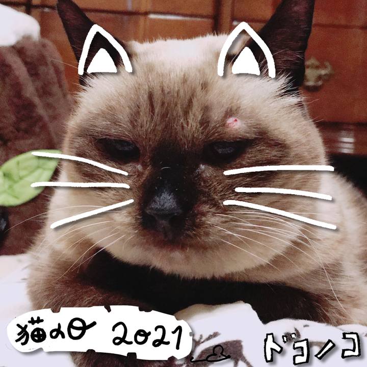 C83b8164 9b01 4c3c b827 fea21062e0be 1613966266424