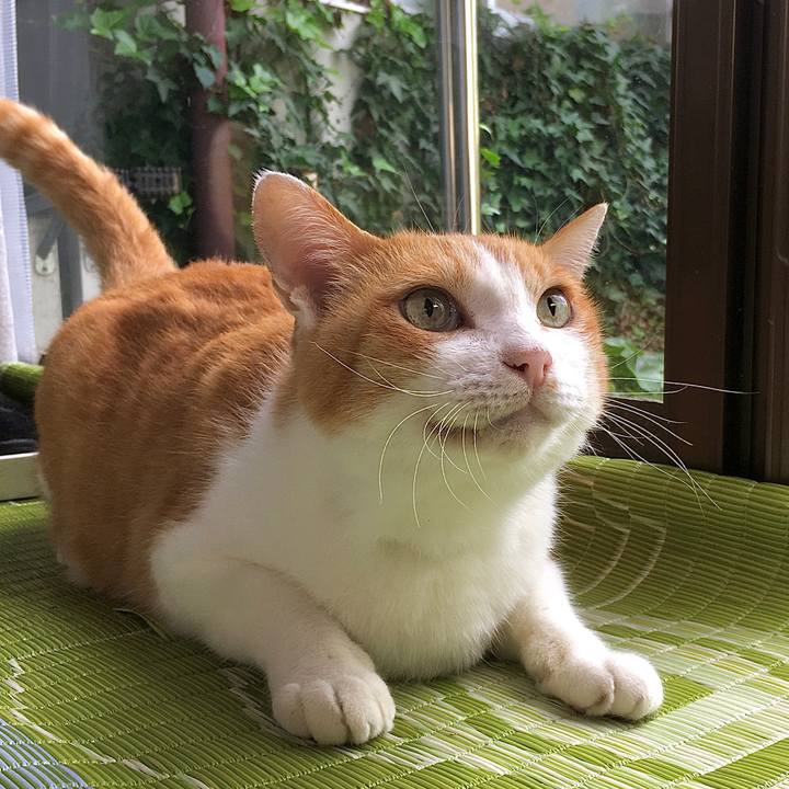 C83b9a0d 6514 4517 9a82 8cd67f302547 1600932390516